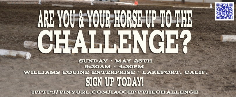 Join us May 25th in Lakeport, California for a Challenge Court focused 1Day clinic.  